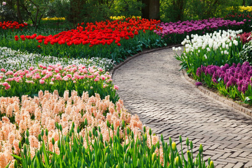 636002 (a): :2580x1720